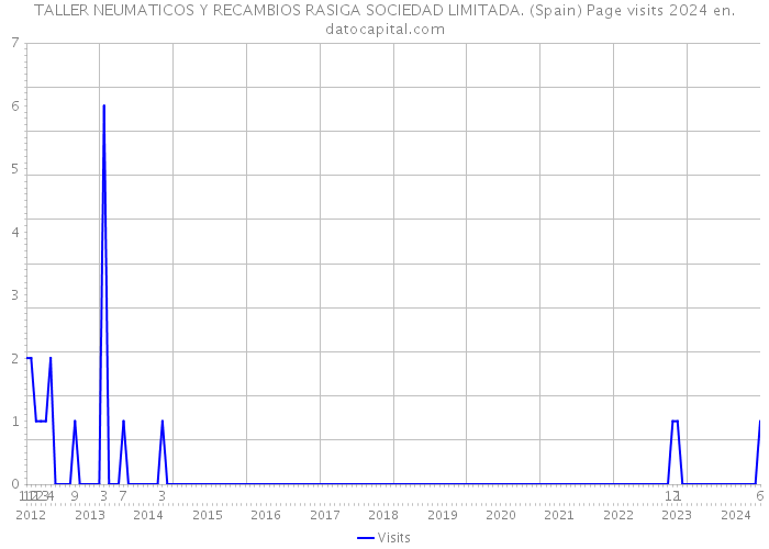 TALLER NEUMATICOS Y RECAMBIOS RASIGA SOCIEDAD LIMITADA. (Spain) Page visits 2024 