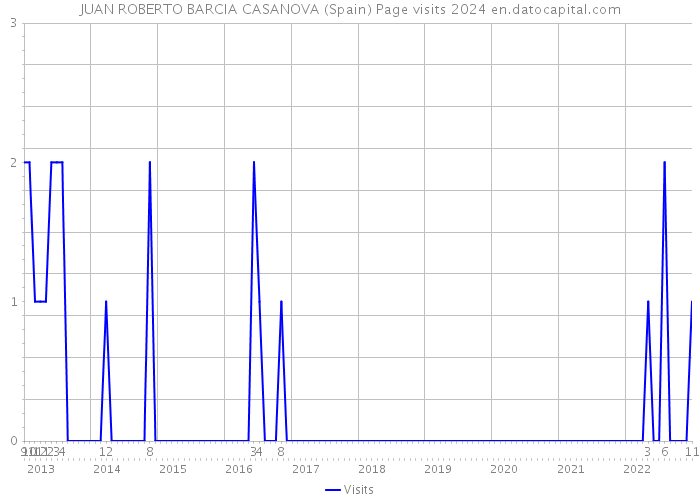 JUAN ROBERTO BARCIA CASANOVA (Spain) Page visits 2024 