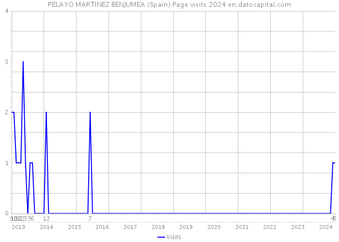 PELAYO MARTINEZ BENJUMEA (Spain) Page visits 2024 
