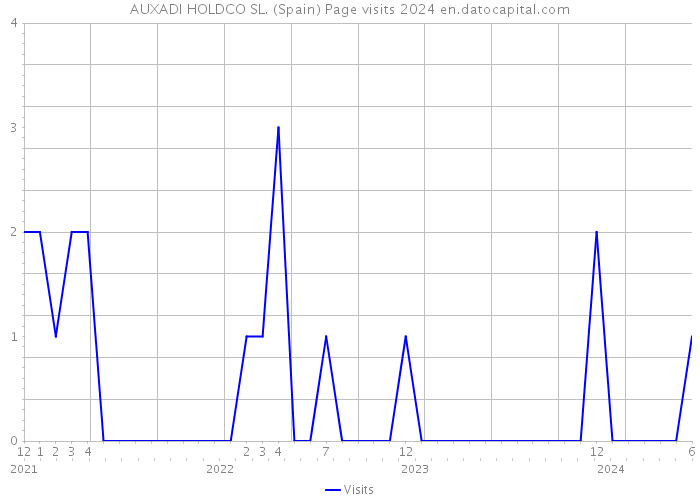 AUXADI HOLDCO SL. (Spain) Page visits 2024 