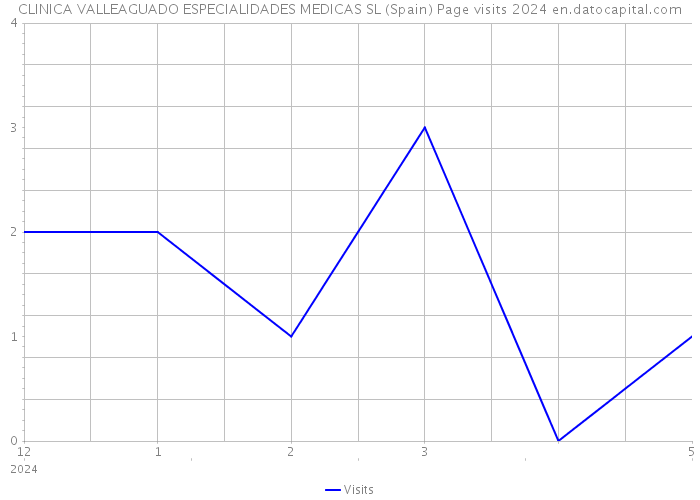 CLINICA VALLEAGUADO ESPECIALIDADES MEDICAS SL (Spain) Page visits 2024 