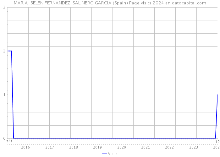 MARIA-BELEN FERNANDEZ-SALINERO GARCIA (Spain) Page visits 2024 