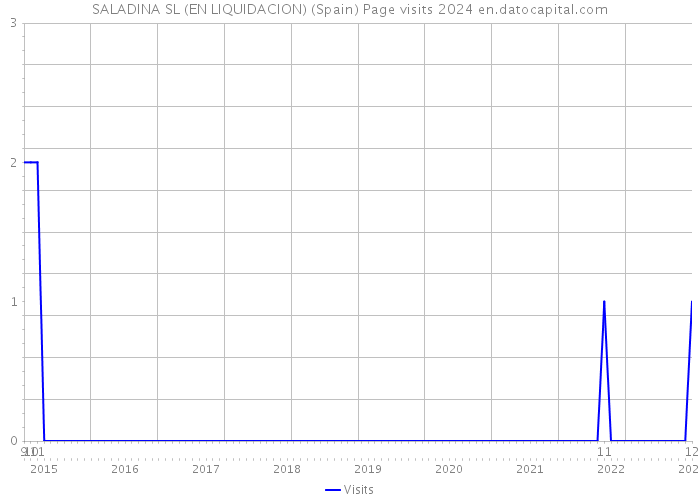 SALADINA SL (EN LIQUIDACION) (Spain) Page visits 2024 