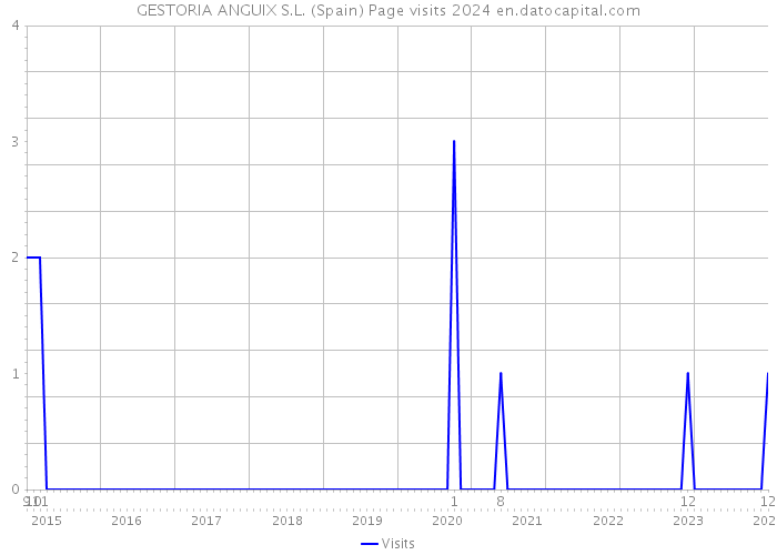 GESTORIA ANGUIX S.L. (Spain) Page visits 2024 