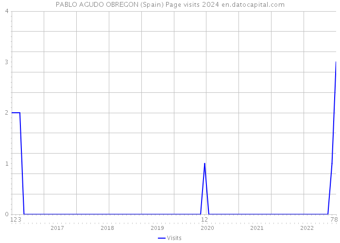 PABLO AGUDO OBREGON (Spain) Page visits 2024 
