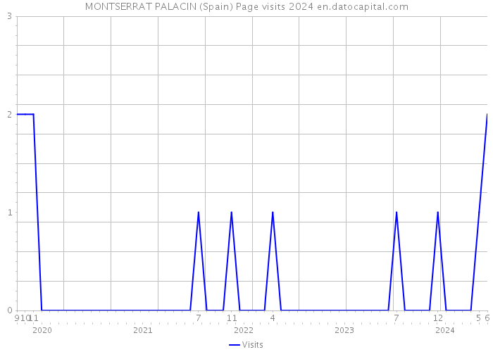MONTSERRAT PALACIN (Spain) Page visits 2024 