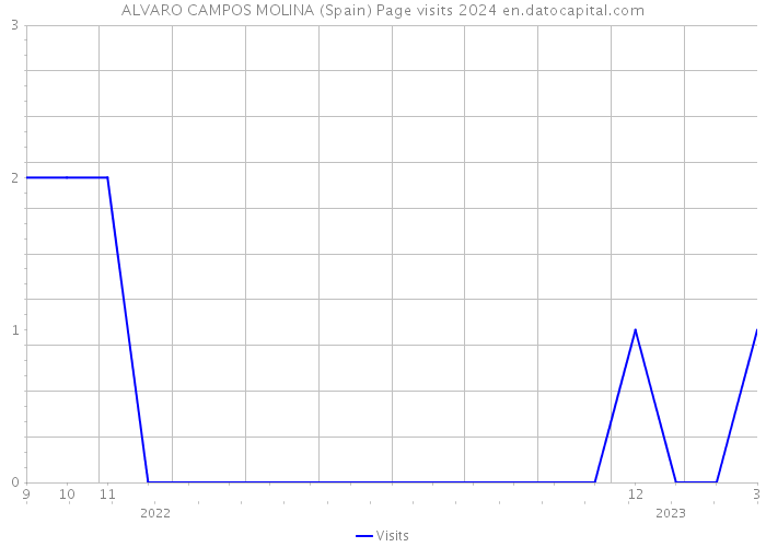 ALVARO CAMPOS MOLINA (Spain) Page visits 2024 