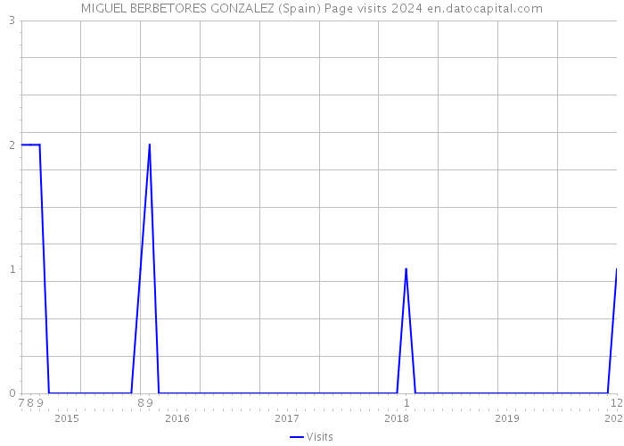 MIGUEL BERBETORES GONZALEZ (Spain) Page visits 2024 