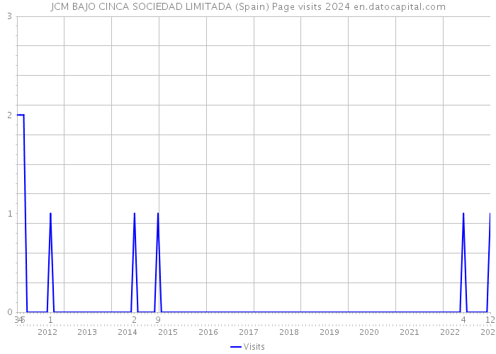 JCM BAJO CINCA SOCIEDAD LIMITADA (Spain) Page visits 2024 