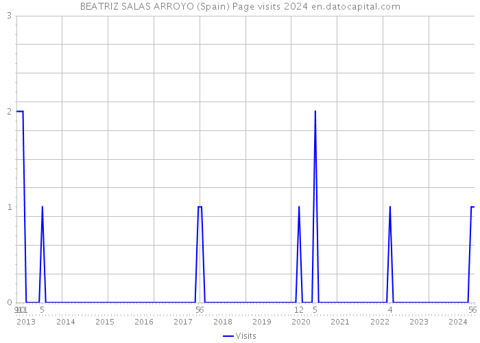 BEATRIZ SALAS ARROYO (Spain) Page visits 2024 