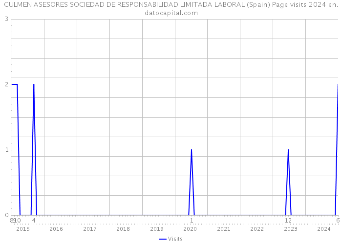 CULMEN ASESORES SOCIEDAD DE RESPONSABILIDAD LIMITADA LABORAL (Spain) Page visits 2024 