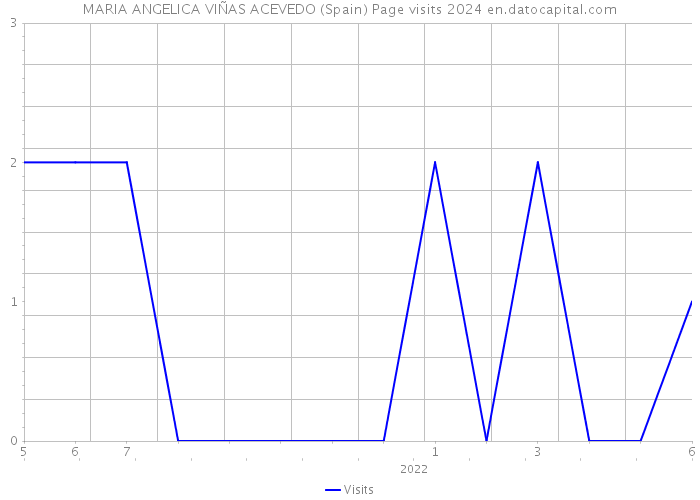 MARIA ANGELICA VIÑAS ACEVEDO (Spain) Page visits 2024 