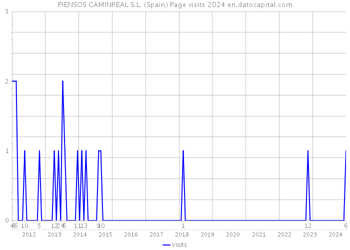 PIENSOS CAMINREAL S.L. (Spain) Page visits 2024 