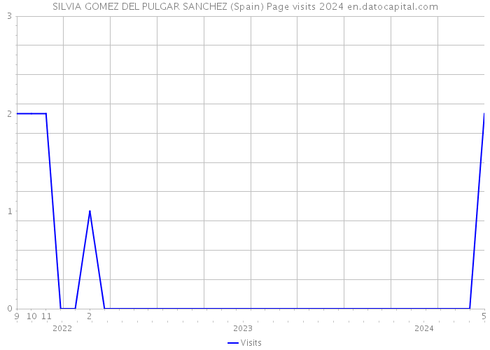 SILVIA GOMEZ DEL PULGAR SANCHEZ (Spain) Page visits 2024 