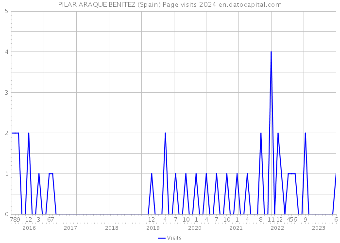 PILAR ARAQUE BENITEZ (Spain) Page visits 2024 