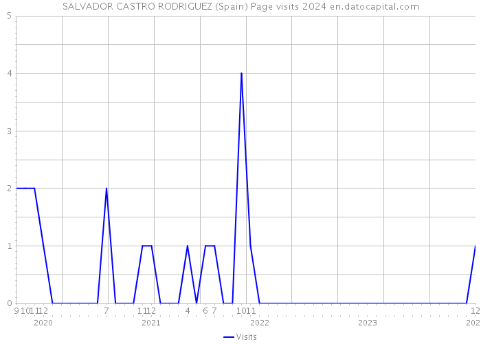 SALVADOR CASTRO RODRIGUEZ (Spain) Page visits 2024 