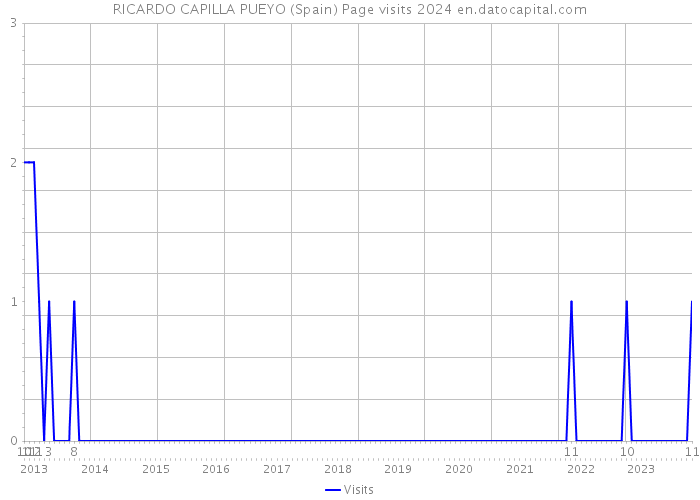RICARDO CAPILLA PUEYO (Spain) Page visits 2024 