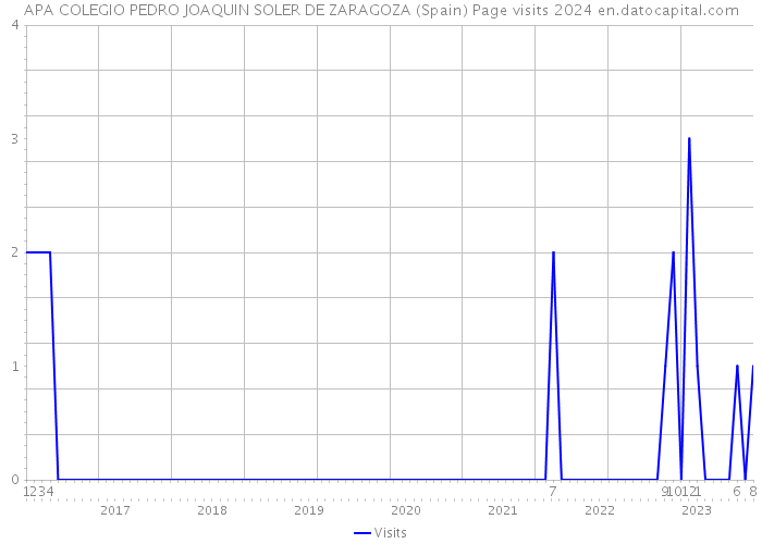 APA COLEGIO PEDRO JOAQUIN SOLER DE ZARAGOZA (Spain) Page visits 2024 