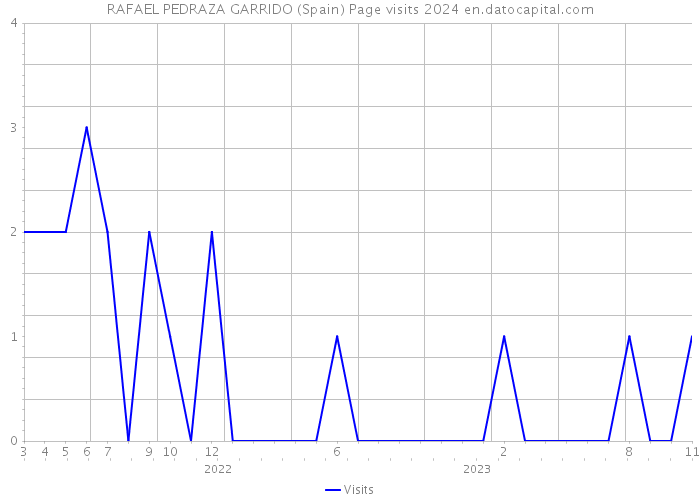 RAFAEL PEDRAZA GARRIDO (Spain) Page visits 2024 