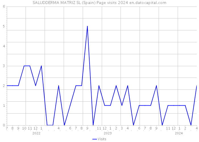 SALUDDERMA MATRIZ SL (Spain) Page visits 2024 