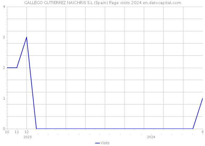 GALLEGO GUTIERREZ NAICHRIS S.L (Spain) Page visits 2024 