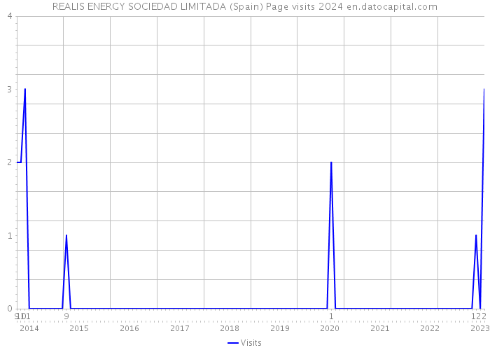 REALIS ENERGY SOCIEDAD LIMITADA (Spain) Page visits 2024 