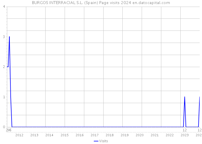 BURGOS INTERRACIAL S.L. (Spain) Page visits 2024 