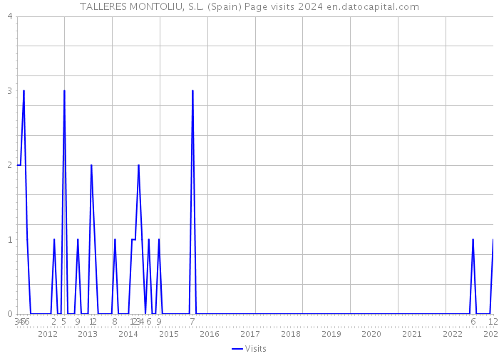TALLERES MONTOLIU, S.L. (Spain) Page visits 2024 