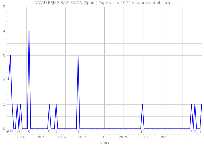 DAVID BEJAR SAIZ MAZA (Spain) Page visits 2024 