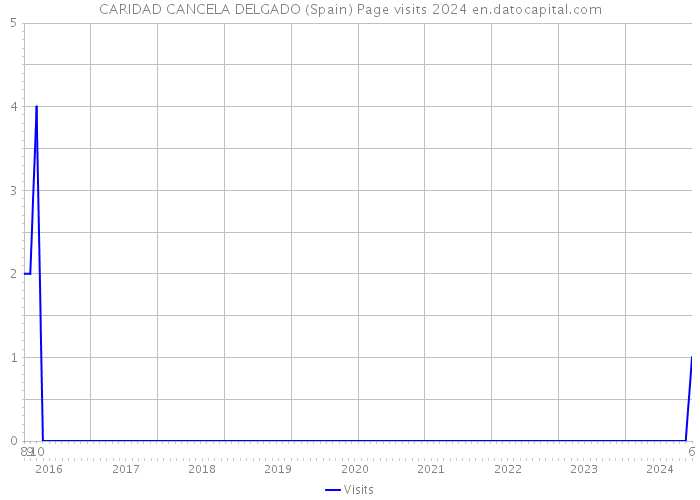 CARIDAD CANCELA DELGADO (Spain) Page visits 2024 