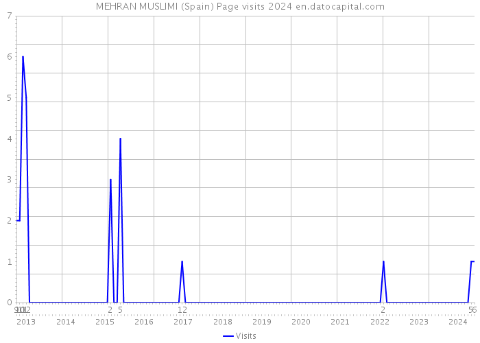 MEHRAN MUSLIMI (Spain) Page visits 2024 