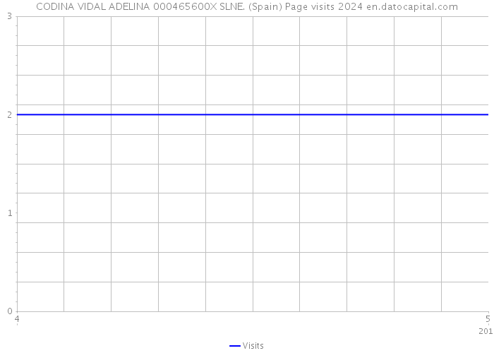 CODINA VIDAL ADELINA 000465600X SLNE. (Spain) Page visits 2024 