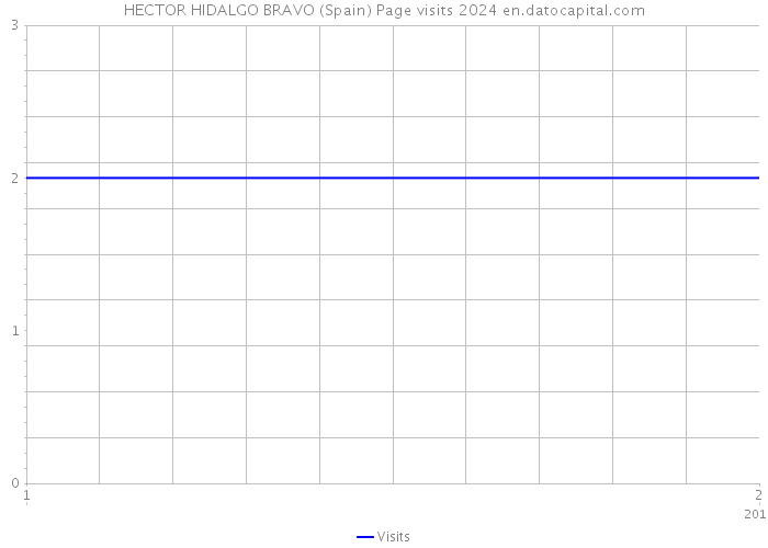 HECTOR HIDALGO BRAVO (Spain) Page visits 2024 