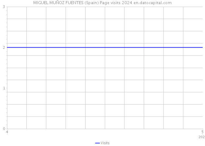 MIGUEL MUÑOZ FUENTES (Spain) Page visits 2024 