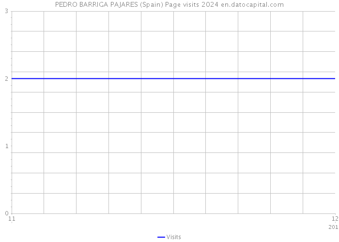 PEDRO BARRIGA PAJARES (Spain) Page visits 2024 