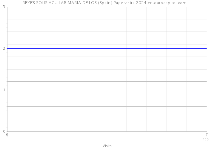 REYES SOLIS AGUILAR MARIA DE LOS (Spain) Page visits 2024 