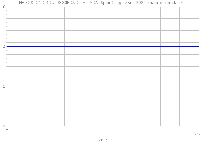 THE BOSTON GROUP SOCIEDAD LIMITADA (Spain) Page visits 2024 