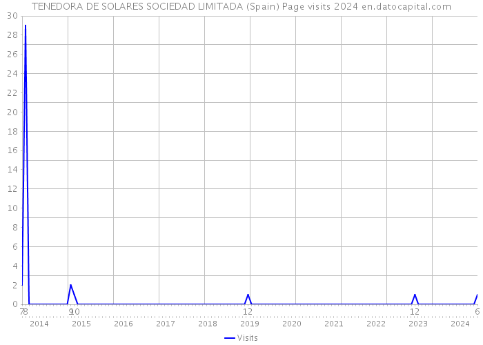 TENEDORA DE SOLARES SOCIEDAD LIMITADA (Spain) Page visits 2024 