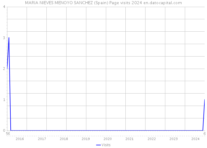 MARIA NIEVES MENOYO SANCHEZ (Spain) Page visits 2024 