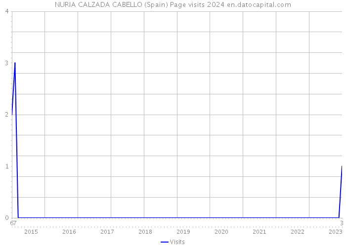 NURIA CALZADA CABELLO (Spain) Page visits 2024 