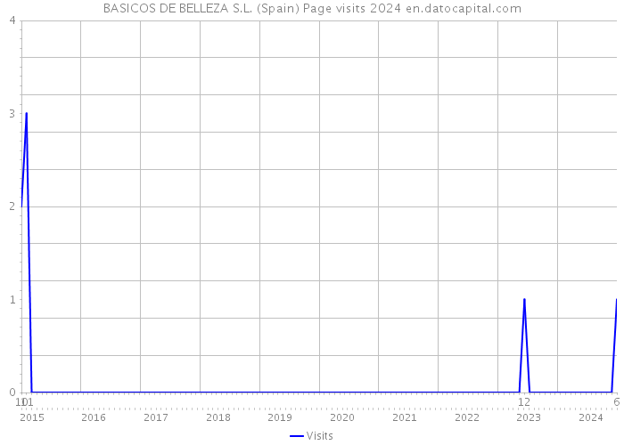 BASICOS DE BELLEZA S.L. (Spain) Page visits 2024 
