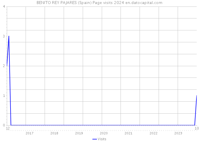 BENITO REY PAJARES (Spain) Page visits 2024 