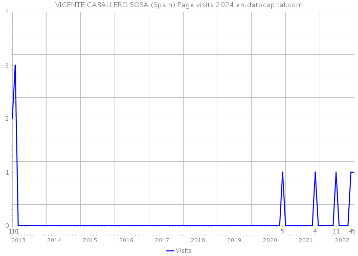 VICENTE CABALLERO SOSA (Spain) Page visits 2024 