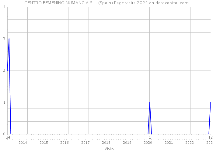 CENTRO FEMENINO NUMANCIA S.L. (Spain) Page visits 2024 