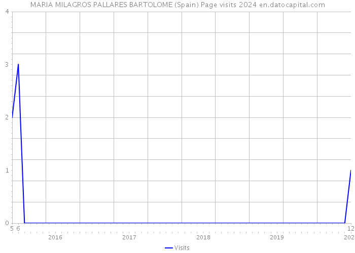 MARIA MILAGROS PALLARES BARTOLOME (Spain) Page visits 2024 