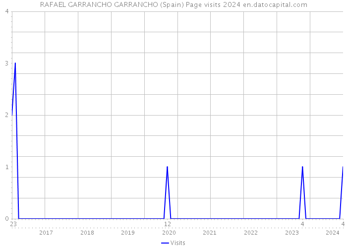 RAFAEL GARRANCHO GARRANCHO (Spain) Page visits 2024 