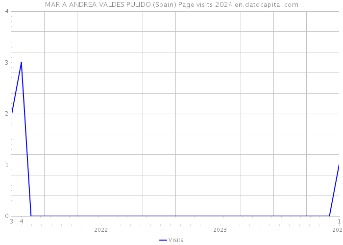 MARIA ANDREA VALDES PULIDO (Spain) Page visits 2024 