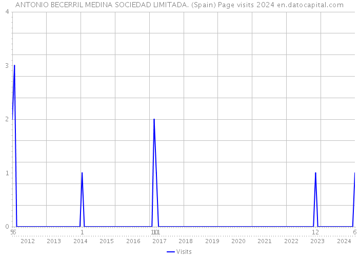 ANTONIO BECERRIL MEDINA SOCIEDAD LIMITADA. (Spain) Page visits 2024 