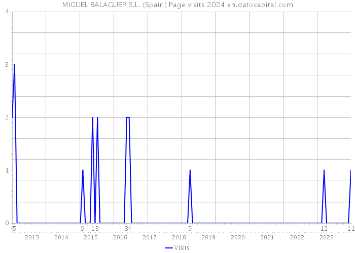 MIGUEL BALAGUER S.L. (Spain) Page visits 2024 