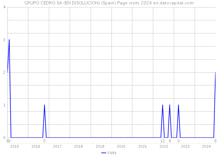 GRUPO CEDRO SA (EN DISOLUCION) (Spain) Page visits 2024 